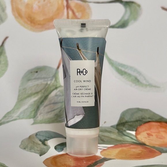 5 for $15 🦋 R+CO | Cool Wind pH Perfect Air Dry Creme - Picture 1 of 2